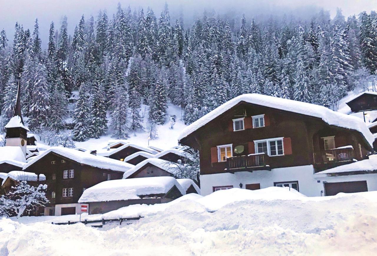 Appartement Haus Bortis à Goms Extérieur photo