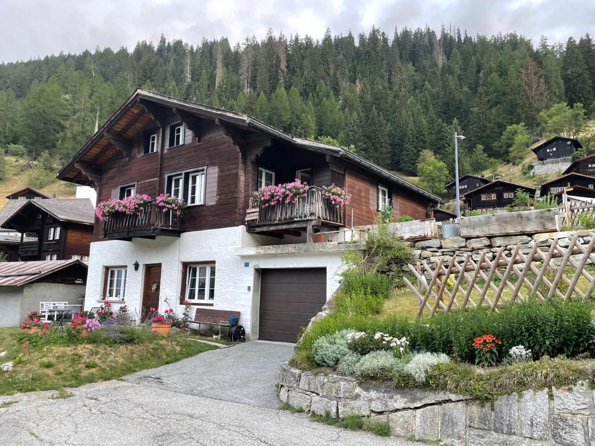 Appartement Haus Bortis à Goms Extérieur photo